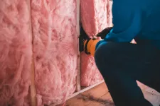 They might look adorable, but mice can do a lot of damage in a house.
